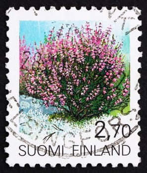 FINLAND - CIRCA 1990: a stamp printed in the Finland shows Heather, Calluna Vulgaris, Shrub, circa 1990