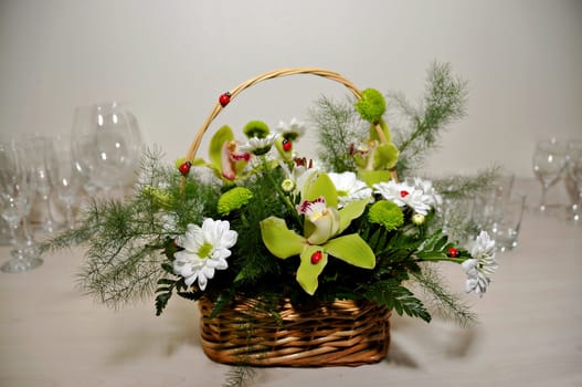 Orchid and white marguerites flowers