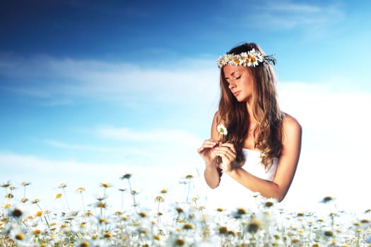 beautiful girl  in dress on the daisy flowers field 