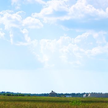  green field under blue sky