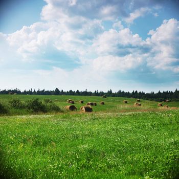  green field under blue sky