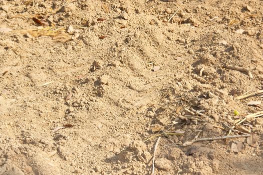 Tractor wheel tracks in the Ground for background