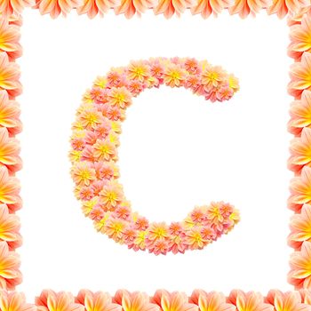 C,flower alphabet isolated on white with flame