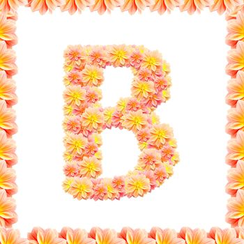 B,flower alphabet isolated on white with flame