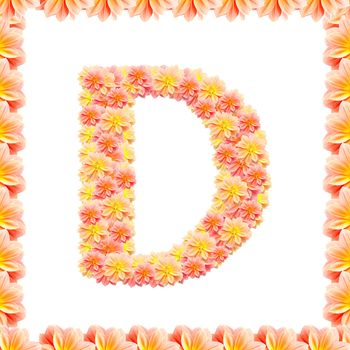 d,flower alphabet isolated on white with flame