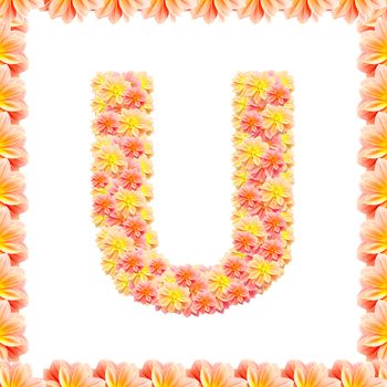 U,flower alphabet isolated on white with flame