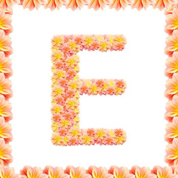 E,flower alphabet isolated on white with flame