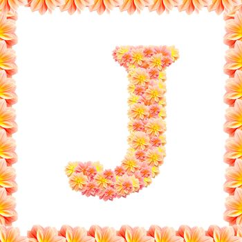 J,flower alphabet isolated on white with flame