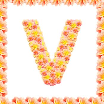 V,flower alphabet isolated on white with flame