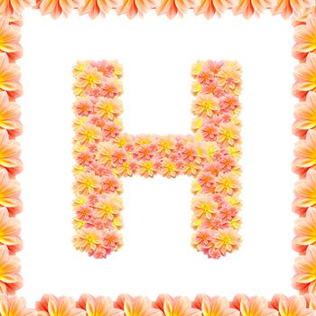 h,flower alphabet isolated on white with flame