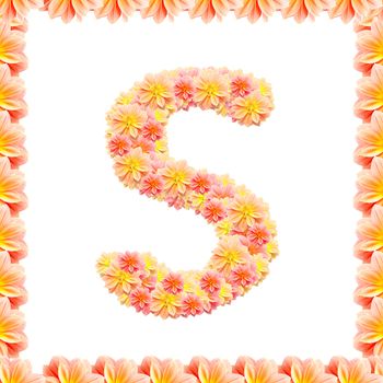 S,flower alphabet isolated on white with flame