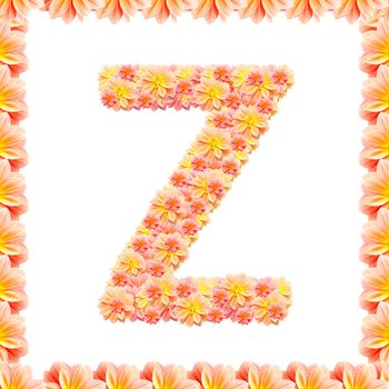 Z,flower alphabet isolated on white with flame
