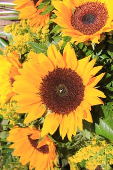 Big yellow sunflower in a sunflower arrangement