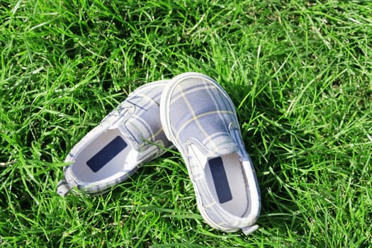 casual footwear on a juicy grass in summer day