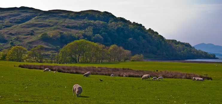 beautiful rural scenery in the heart of Scotland
