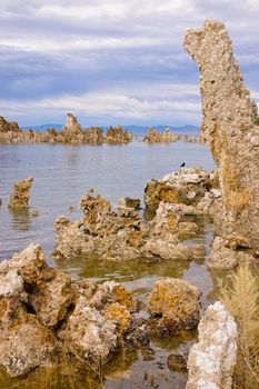 Tufas and eagles at Mono Lake, Californis