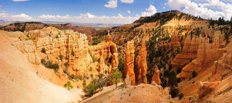 Bryce Canyon National park, Utah, USA