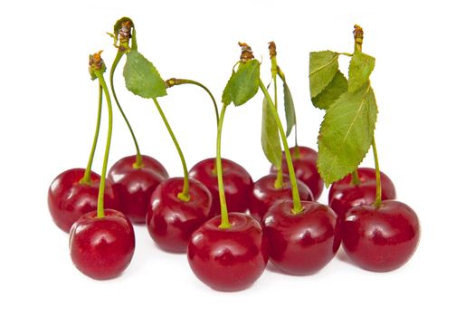 Cherries isolated on the white background