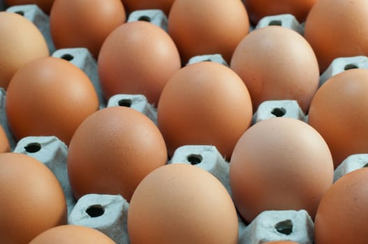 close-up eggs in the package 