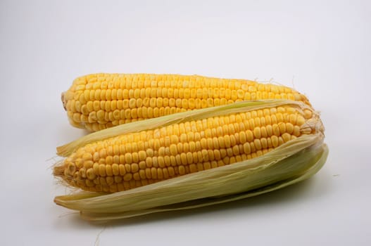Fresh corn cobs on white background 