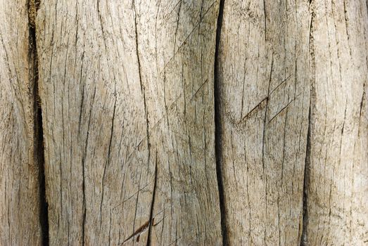 Old wood wall texture background.