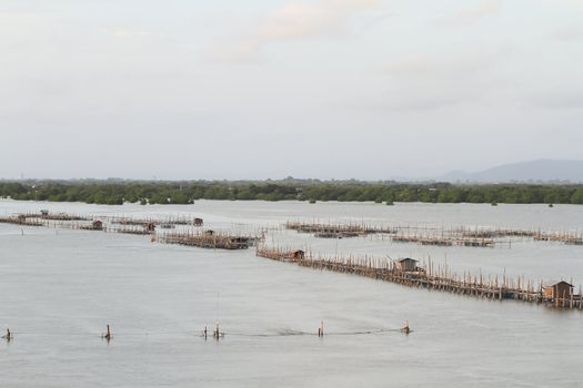 Shellfish farm, Thailand