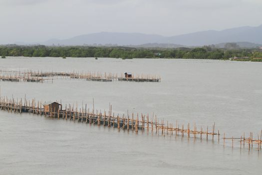 Shellfish farm, Thailand