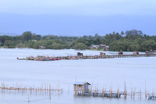 Shellfish farm, Thailand