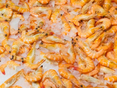 Background of whole freshly cooked delicious orange prawn shrimps on ice in a supermarket or fishery on sale for cooking and eating as a seafood meal