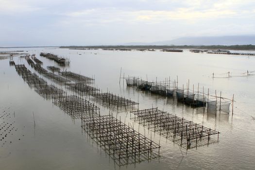 Shellfish farm, Thailand