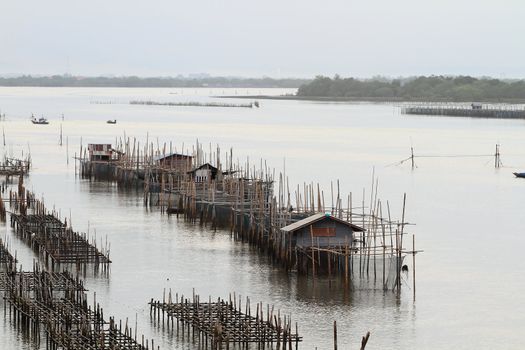 Shellfish farm, Thailand