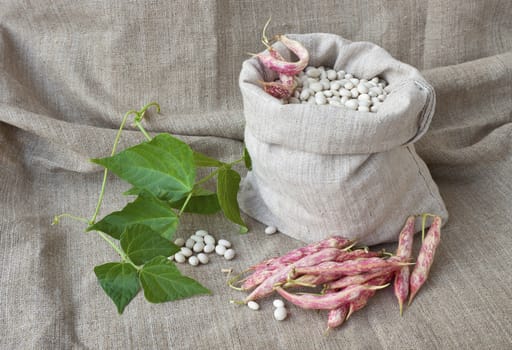 Beans in  the sack and red pods