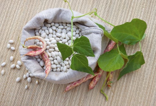 Beans in  the sack and red pods