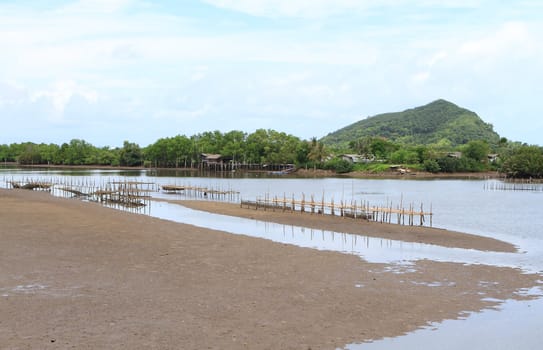 Shellfish farm, Thailand