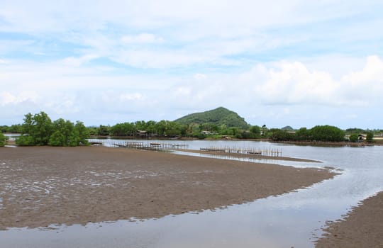 Shellfish farm, Thailand