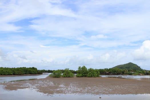 Shellfish farm, Thailand