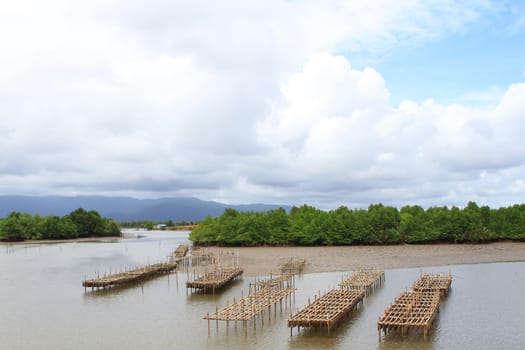 Shellfish farm, Thailand