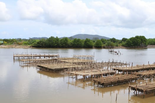 Shellfish farm, Thailand