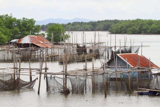 Shellfish farm, Thailand