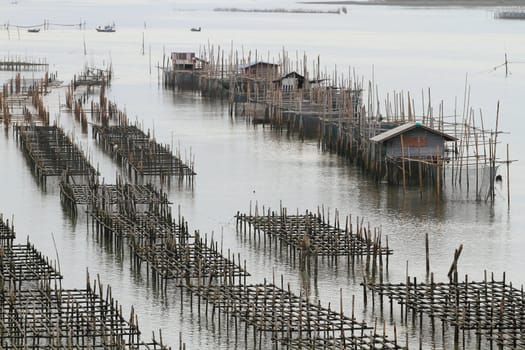 Shellfish farm, Thailand