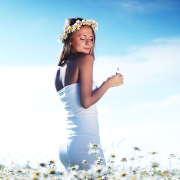 beautiful girl  in dress on the daisy flowers field 