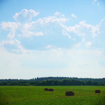  green field under blue sky