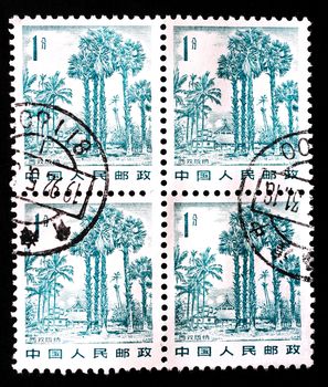 CHINA - CIRCA 1982: A stamp printed in China shows landscape in Xishuangbanna, circa 1982