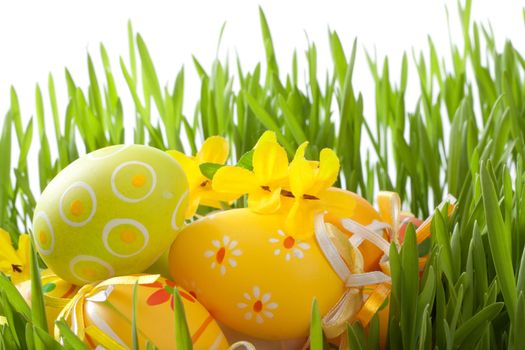 Colorful Easter eggs on a white background