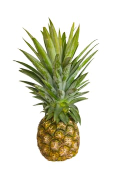 Fresh pineapple isolated on white background