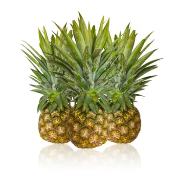 Fresh pineapple isolated on white background