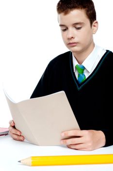 Boy reading notebook with big pencil lying in front of him on study desk