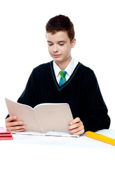 School boy reading from notebook. Concentrating on notes