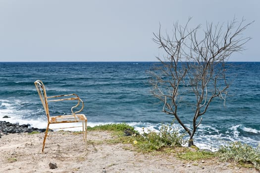 Lonely rusty chair and dry tree next to the sea