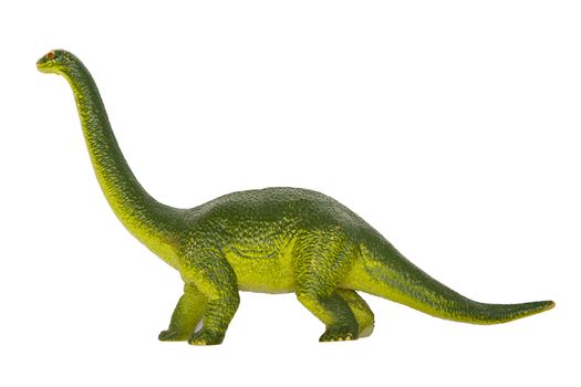 Dinosaur isolated on the white background